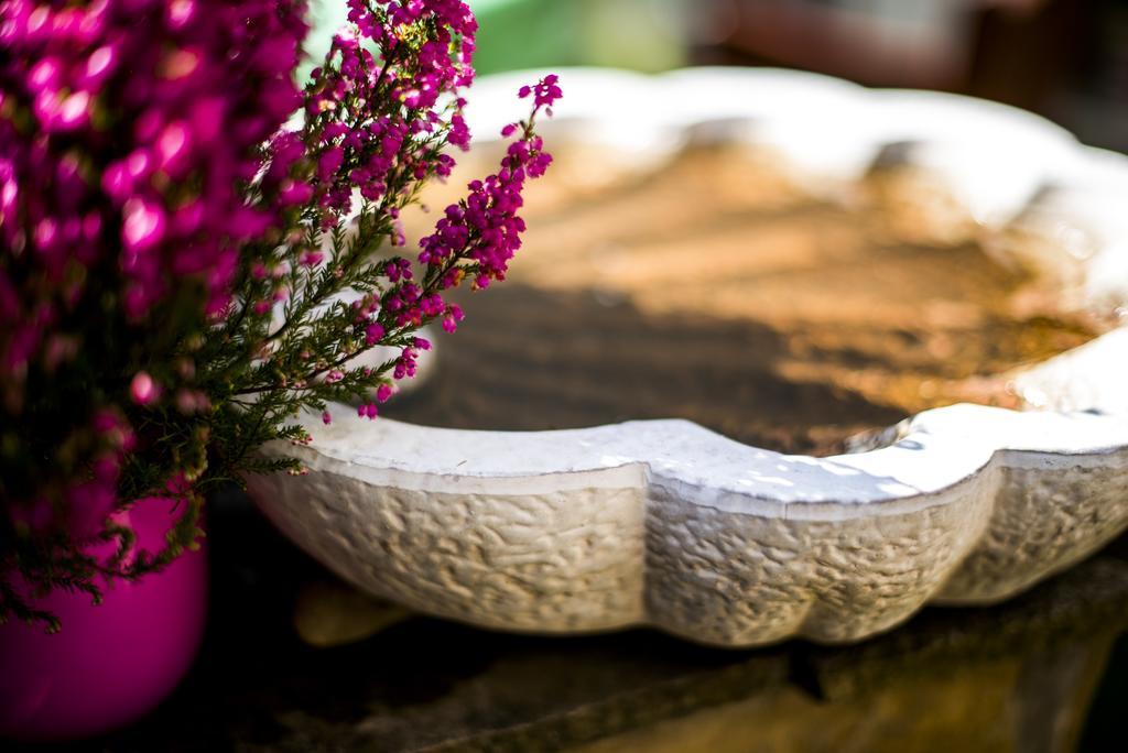 Feng Shui Wellness Apartmanhaz Heviz Apartment Heviz