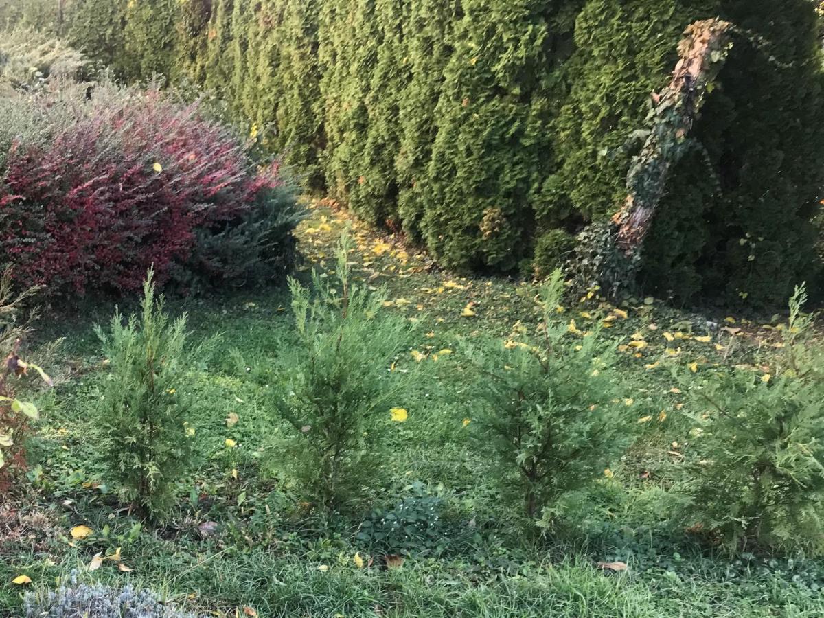 Feng Shui Wellness Hévíz