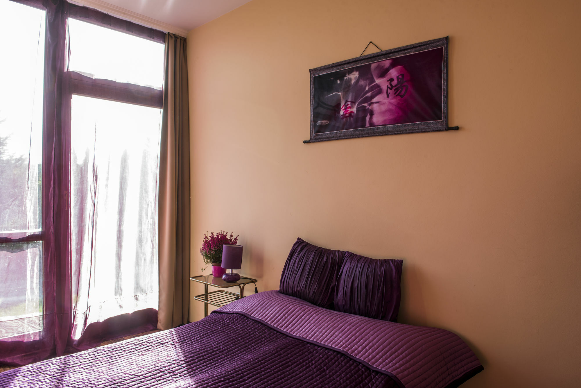 Apartment Feng Shui Wellness