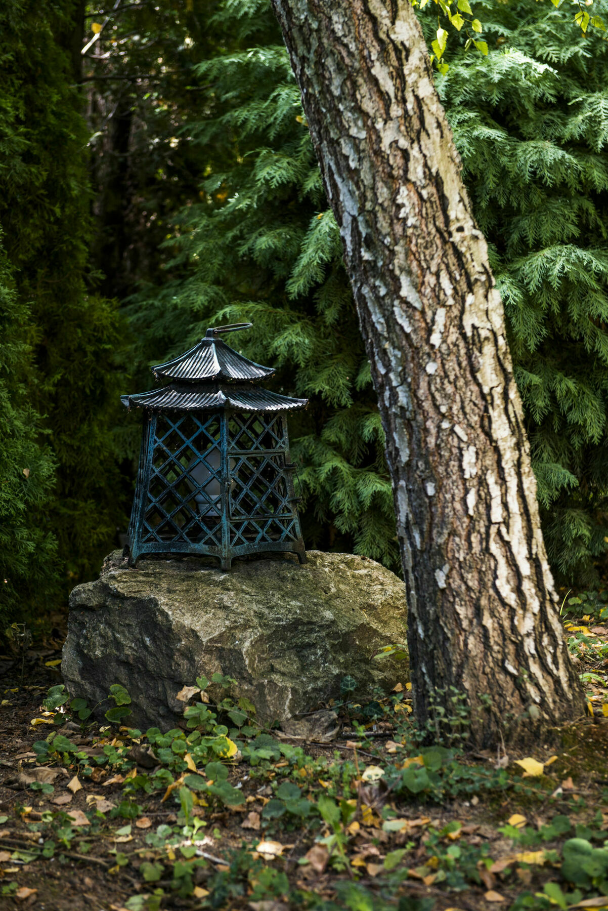 Feng Shui Wellness Apartment Hévíz