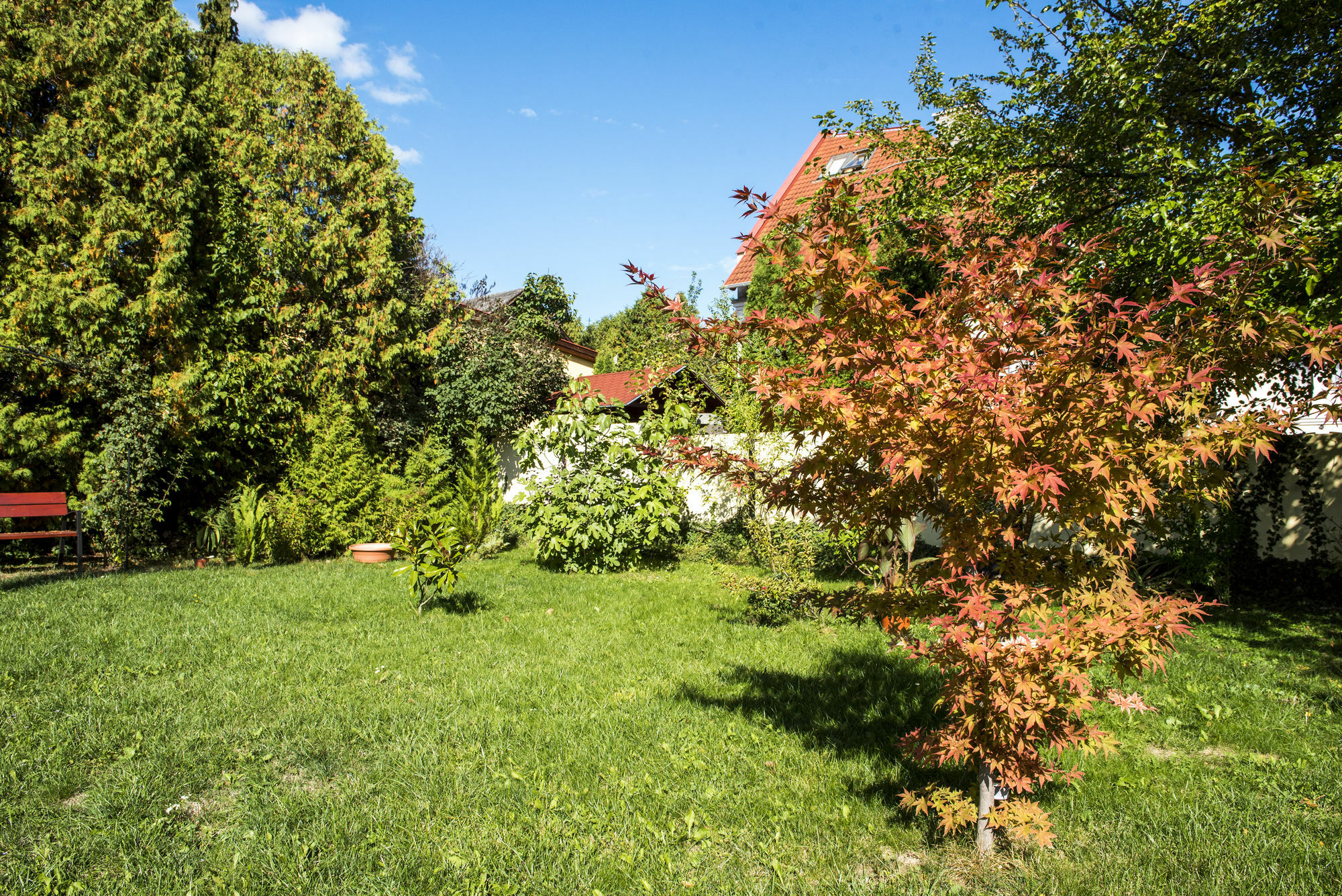 Feng Shui Wellness