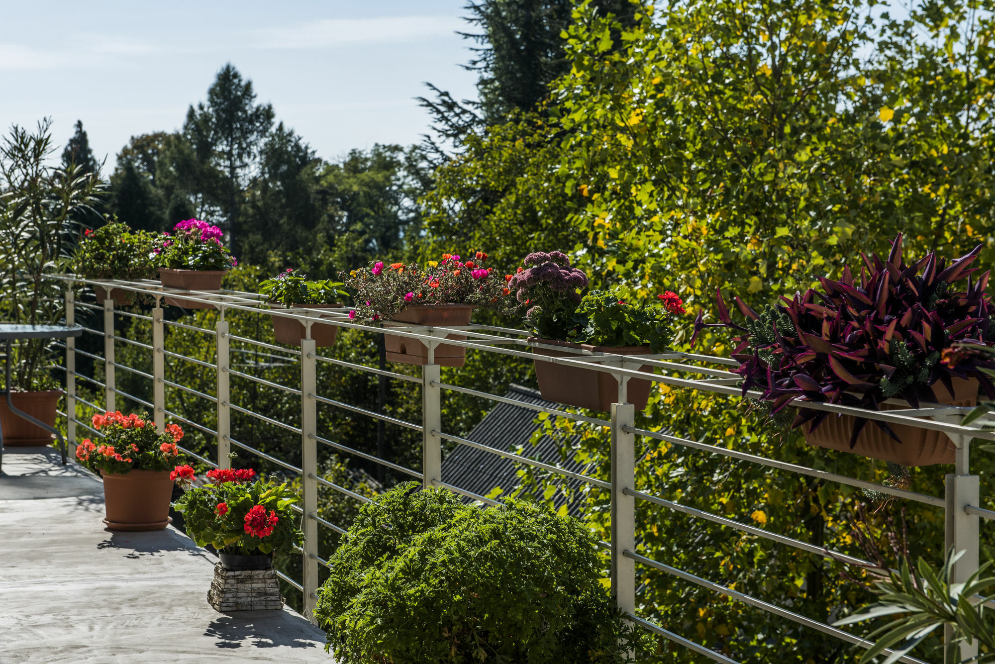 Feng Shui Wellness Apartmanhaz Heviz