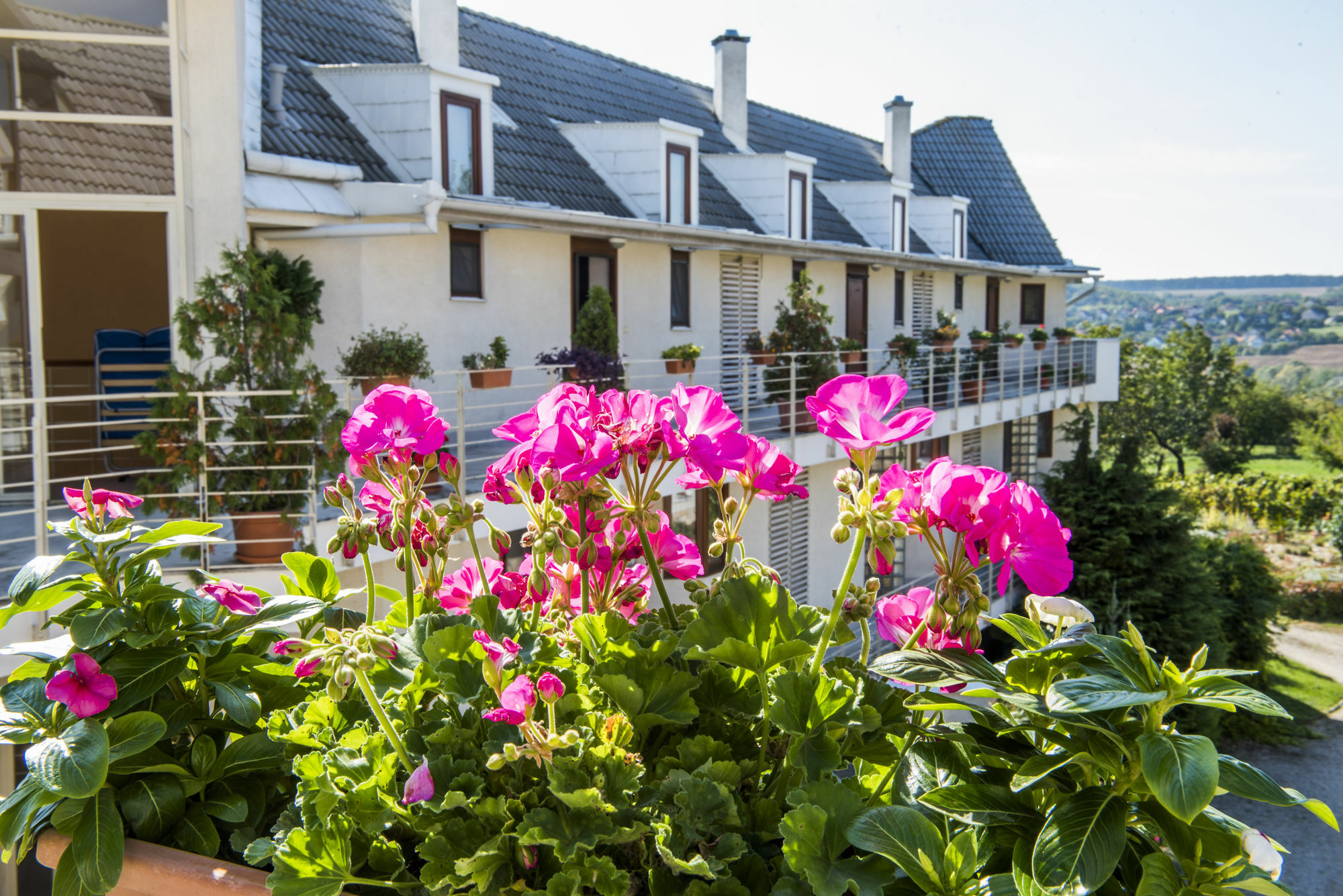 Feng Shui Wellness Apartmanhaz Heviz *