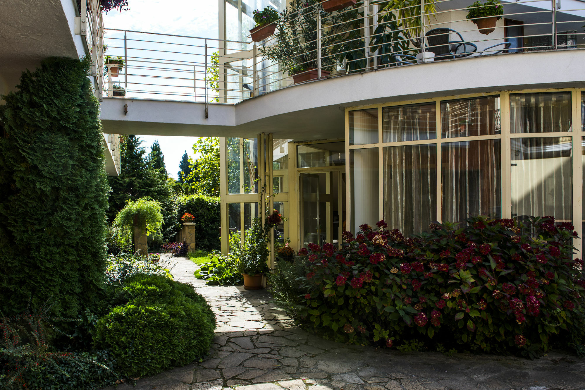 Feng Shui Wellness *